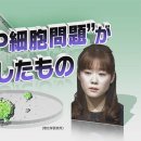 시론공론 '"STAP세포문제"가 남긴 것' 이미지