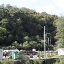 박정호농장(1농장) 이미지