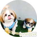 춘천닭갈비vs양푼이김치찌개 이미지