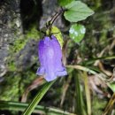 금강초롱한의원 이미지