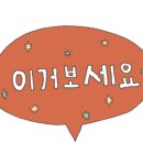 스위츠포레스트 이미지