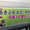 쌍둥이농원 이미지
