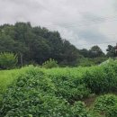 금강2농장 이미지