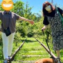 애견나라 이미지