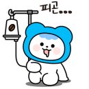 대화세무회계사무소 이미지