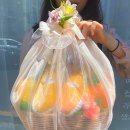 돌체 | 진주 과일바구니 선물, '돌체프루타' 내돈내산 대만족 후기