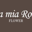 라미아로사LamiaRosa