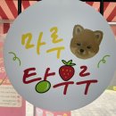 마루탕후루부경대점 이미지