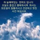 11월20일 수요일출석부 진짜 해녀가 된 작가 이미지