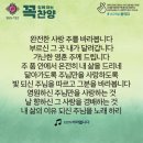 콩깍지 이미지