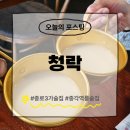 청락 | 종로술집 추천 청락 후기 (24.5.4)