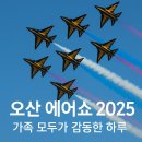 오산 공군기지 에어쇼 2025 관람후기 블랙이글스와 푸드트럭 가족 모두가 감동한 11일 에어쇼