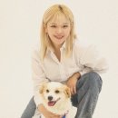 정연 이미지