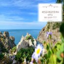 새만금국제공인중개사사무소 이미지
