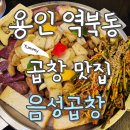 대창공업사 | 용인 역북동 곱창맛집 ‘음성곱창’ 내돈내산 찐 후기 (재방문 각!)