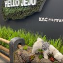 아점부엌 이미지