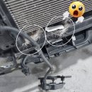 그린자동차부분정비 | 포항에서 믿을만한 카센터?! 일급정비공장 그린자동차정비소가 정답입니다!