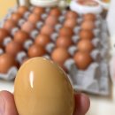 신선한아침 - 포항시 남구 | 신선한아침