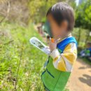 세정어린이집 이미지