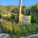 대미농장 이미지