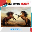 나침반여행사주 이미지
