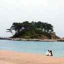 진하해수욕장 이미지