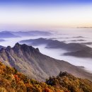 구봉산 Daum카페