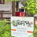 종이접기 | 창원 캠프닉 | 저렴이 원터치 텐트로 캠프닉 | 두 번째 방문한 창원 마법의정원