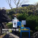 제주올레캠핑 이미지