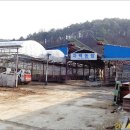 자백농장 이미지