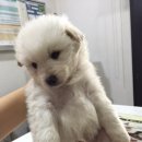 홍익동물병원 이미지