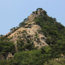 허리나 연구소 이미지