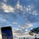 당포의하루 이미지