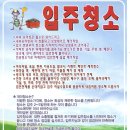 개미청소 Daum카페