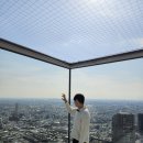 SKY쇼핑몰 | 시부야 스카이 티켓 : 사전예약 시간대 방문후기