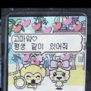 대전물회 | [대전 서구] 물회가 땡겨서 우연찮게 찾은 육지 물회 맛집 ...<대전물회> 등 방문후기