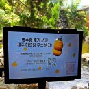 이동국농장 이미지