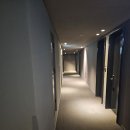 머물다 | 서울 중심에서 머물다! 신라스테이 서대문 숙소 솔직 후기