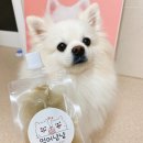 멈머냠냠 | 멈머냠냠 - 강아지수제간식 강아지 장어탕 검단강아지 수제간식