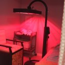 미엘인애한의원 이미지