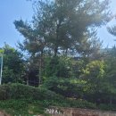 고양시테니스협회 예약 성사시립테니스장 실내테니스장 후기