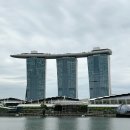 프리미어짐 | 싱가포르 마리나베이샌즈호텔 샌즈프리미어룸 후기 체크인 짐보관