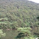 독골농장 이미지