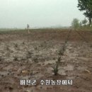 김동표 농장 아시아경제