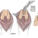다온동물병원 이미지