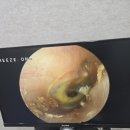 금강보청기 송파센터 이미지