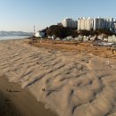 사구해수욕장1 이미지