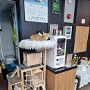 코코 당구장 이미지