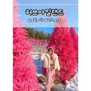 포천 허브아일랜드 핑크모래 솔직후기