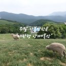 상구목장 이미지